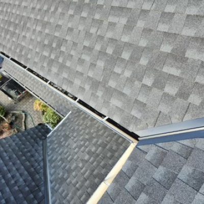Gutter Cleaning & Repair Services